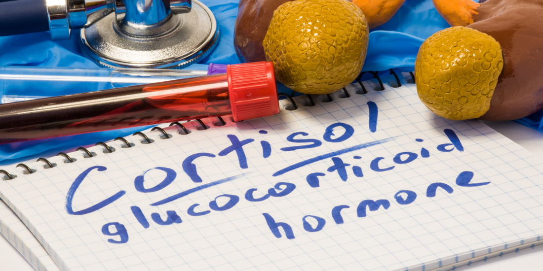 Hormone Testing For Women